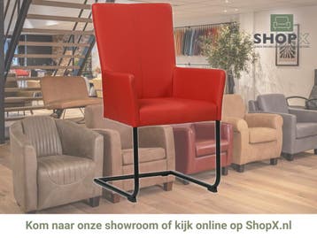 Leren eetkamerstoel Dry met armleuning - Toledo Ducati, Nieuw, Leer, Ophalen of Verzenden, Rood