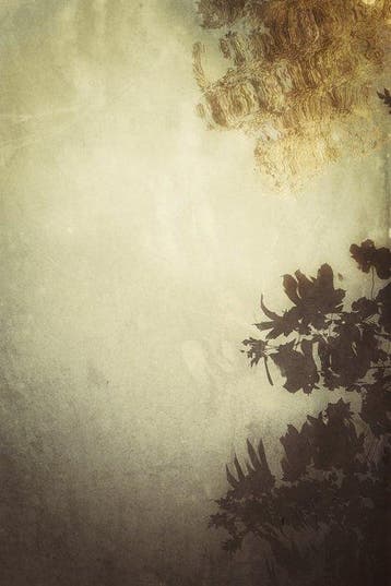 Annemiek van der Kuil - Where Water Forgets Itself II