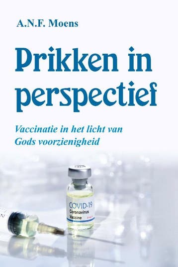 Prikken in perspectief 9789087184902 A.N.F. Moens, Boeken, Verzenden, Zo goed als nieuw, A.N.F. Moens