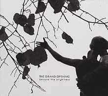 cd - The Grand Opening - Beyond The Brightness, Verzenden, Zo goed als nieuw