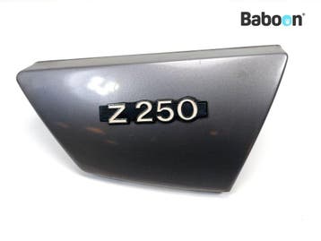 Buddypaneel Rechts Kawasaki Z 250 1981-1983 (KZ250A), Motoren, Verzenden, Gebruikt
