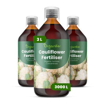 Bloemkool Vloeibare meststof - 3x1 liter, Verzenden, Mest