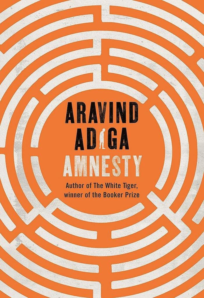 Amnesty 9781509879045 Aravind Adiga, Boeken, Taal | Engels, Gelezen, Verzenden
