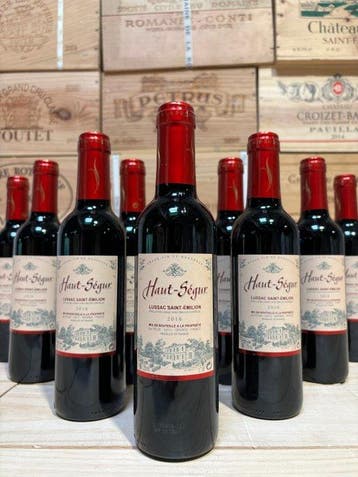 2016 Chateau Haut - Ségur - Saint-Émilion - 12 Halve flessen, Nieuw