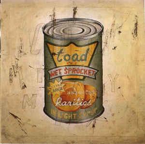 cd - Toad The Wet Sprocket - In Light Syrup, Verzenden, Zo goed als nieuw