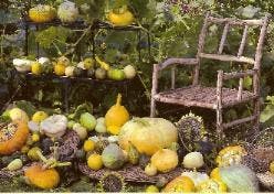 Kaart U 1504, Diversen, Wenskaarten, Nieuw, Ophalen of Verzenden