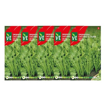 Andijviezaad | VT | 5 stuks (Fijne krul), Verzenden