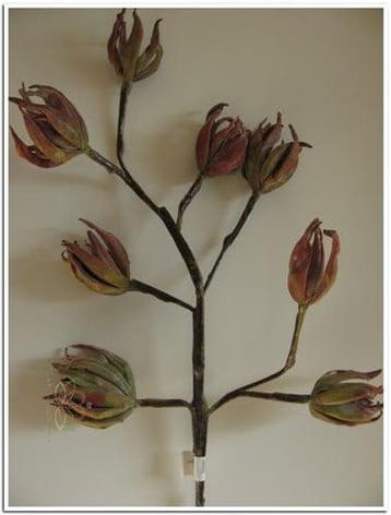 Magnolia Rusty Groen Foam Zijdenbloem x8 70 cm, Huis en Inrichting, Woonaccessoires | Kunstplanten en Kunstbloemen, Ophalen of Verzenden