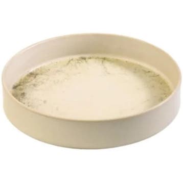 Kommen | SAVANNE | Porselein | Beige | 100cl | 4 Stuks |, Verzenden, Nieuw in verpakking