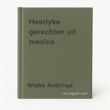 Heerlyke gerechten uit mexico - Wiebe Andringa 9789062485260, Boeken, Verzenden, Gelezen, Wiebe Andringa