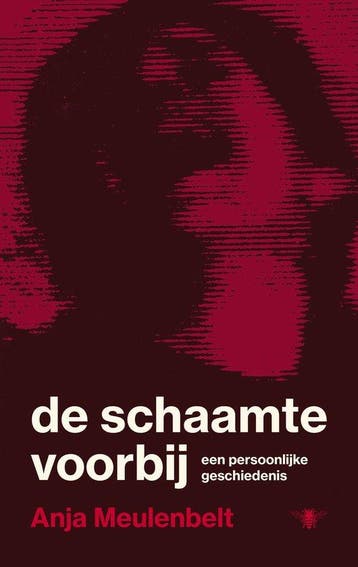 9789403135168 De schaamte voorbij Anja Meulenbelt, Boeken, Verzenden, Nieuw, Anja Meulenbelt