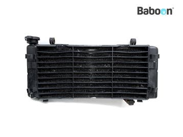 Radiateur Honda VFR 750 F 1994-1997 (VFR750F RC36), Verzenden, Gebruikt