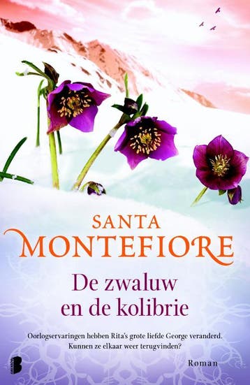 De zwaluw en de kolibrie - Santa Montefiore 9789022568798, Boeken, Verzenden, Gelezen, Santa Montefiore