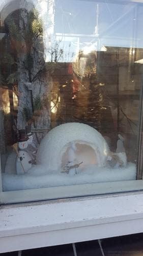 Kunstsneeuw Poedersneeuw 100 gr, Ophalen of Verzenden, Nieuw