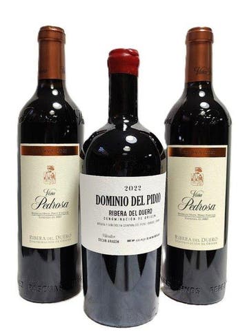 2022 Dominio del Pidio & 2021 Hnos. Pérez Pascuas, Viña, Nieuw