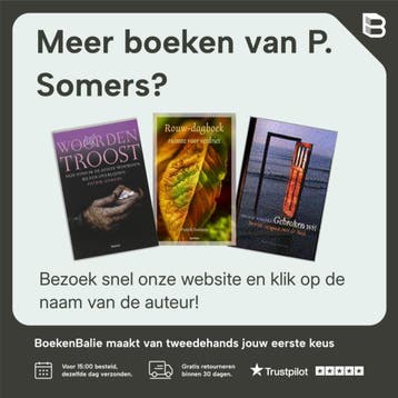 Praktijk leren personenauto / Lens verkeersleermiddelen, Boeken, Verzenden, Zo goed als nieuw, P. Somers