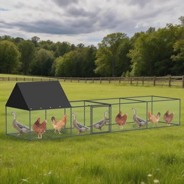 Ruime Metalen Kippenren 319cm - Walk-in Kippenhok met Dak en, Dieren en Toebehoren, Verzenden, Nieuw