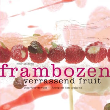Frambozen 9789075979169 R. de Boer, Boeken, Kookboeken, Verzenden, Zo goed als nieuw, R. de Boer