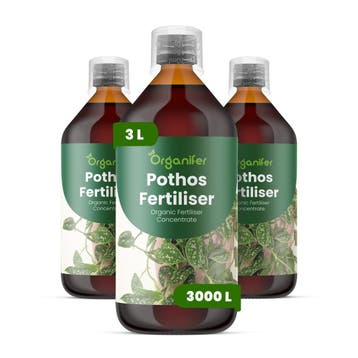 Pothos Vloeibare meststof - Set 3x1 liter, Verzenden, Mest