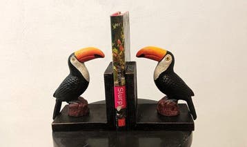 Boekensteunen (2) - Gietijzer - guinness bier toekan