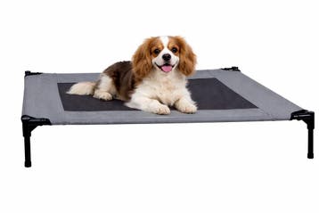 Maxxpro Hondenbed - Hondenstretcher tot Max.55 KG - Incl., Verzenden, Nieuw