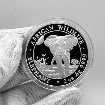Somalië. 200 Schilling 2025 – 2 oz African Wildlife: