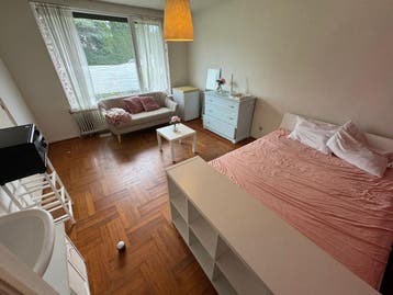 Te huur: Kamer Brusselseweg in Maastricht