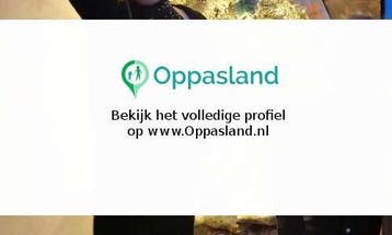 Clementine zoekt een oppas in Waalwijk voor 2 kinderen.