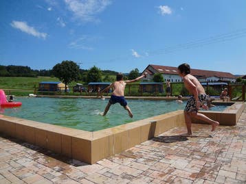 Huurtenten op de beste campings van Tsjechie Praag, Huisdier toegestaan, In bos