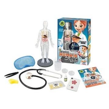 Buki menselijk lichaam educatief sp van €30,99 voor €15,50, Ophalen of Verzenden, Nieuw