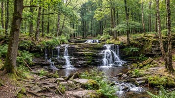 Fotobehang waterval – groen bos behang woonkamer, Huis en Inrichting, Verzenden, Fotobehang