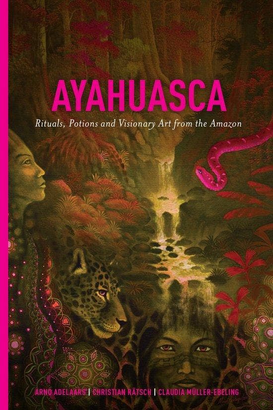 9781611250510 Ayahuasca Arno Adelaars, Boeken, Gezondheid, Dieet en Voeding, Nieuw, Verzenden