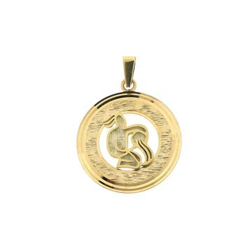 Gouden sterrenbeeld hanger; Waterman (Hanger of bedel), Ophalen of Verzenden, Gebruikt, Goud, Overige merken