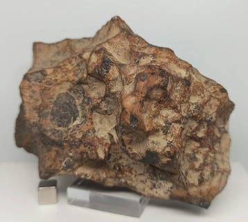 Canyon Diablo (USA, 50.000 jaar). Natuurlijke patina, zoals