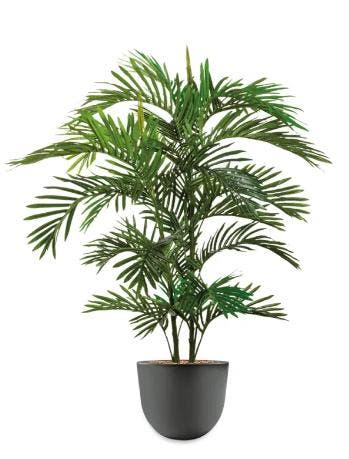 Areca Palm kunstplant, H120cm, Huis en Inrichting, Ophalen of Verzenden, Palm, 100 tot 150 cm