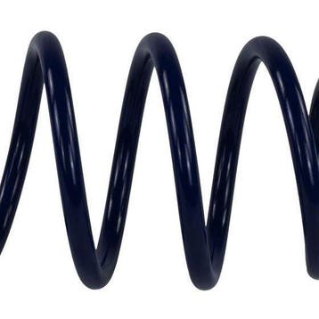 Ford Racing 2015-2017 Mustang GT350 Lowering Springs, Ophalen of Verzenden, Nieuw