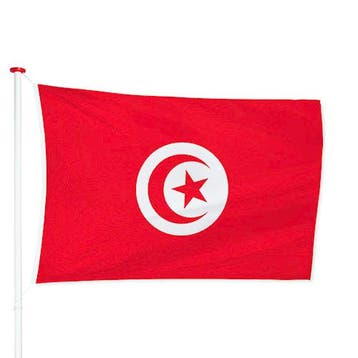 Tunesische Vlag 40x60cm, Verzenden, Nieuw