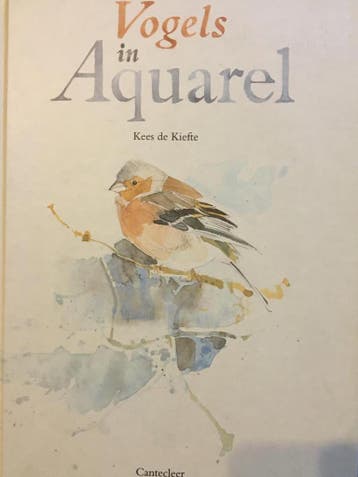 VOGELS IN AQUAREL - K. de Kiefte 9789021320601, Verzenden, Gelezen, K. de Kiefte