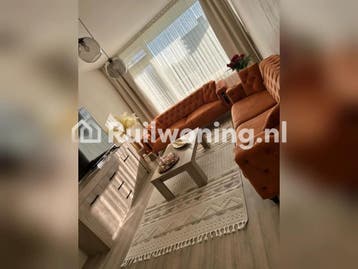 Jouw ruime plek in Zaanstad gezocht (Amsterdam), Huizen en Kamers, Amsterdam