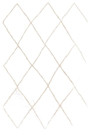Garden Impressions Diamonds karpet – 200x290 cm taupe -, Nieuw
