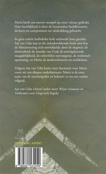De gemanipuleerde Maria 9789461531049 Aat van Gilst, Verzenden, Zo goed als nieuw, Aat van Gilst