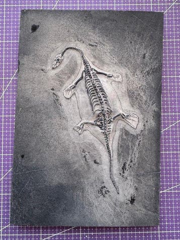 Fossiel reptiel: Keichousaurus – zeldzaam getuigenis uit het