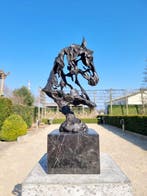 Beeldje - Horse bust - Brons, Marmer