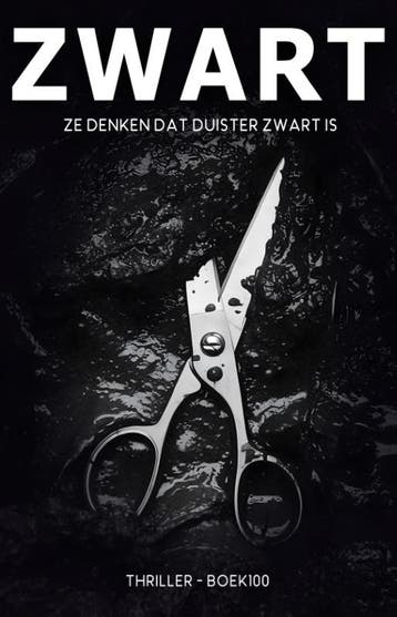 Zwart | Ronald Assen | Nieuw, Ophalen of Verzenden, Nieuw, Ronald Assen