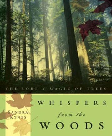 Whispers from the Woods | 9780738707815 | KYNES,  Sandra, Zo goed als nieuw, KYNES,  Sandra