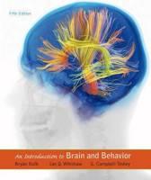Introduction to Brain and Behavior 9781464106019, Zo goed als nieuw