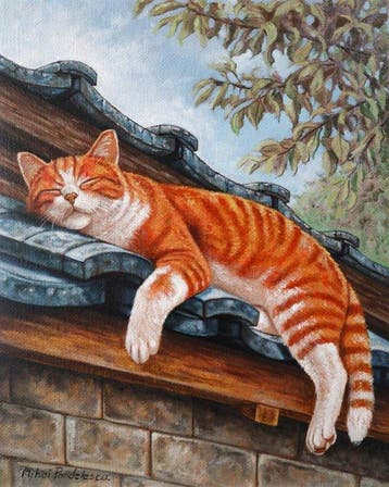 Mihai Pandelescu - A Rooftop Dream
