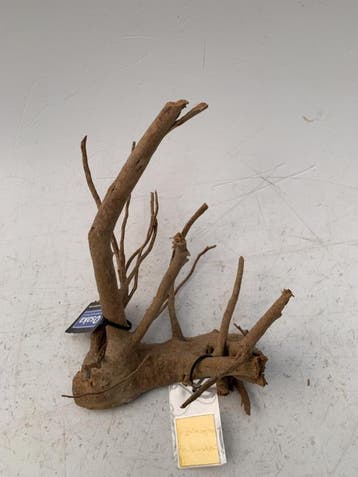 Spiderwood Selected SW9 - 30x36x23cm (Spider wood), Ophalen of Verzenden, Nieuw, Plant(en), Steen of Hout