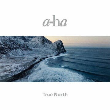 A-HA - TRUE NORTH (LP), Verzenden, Nieuw in verpakking