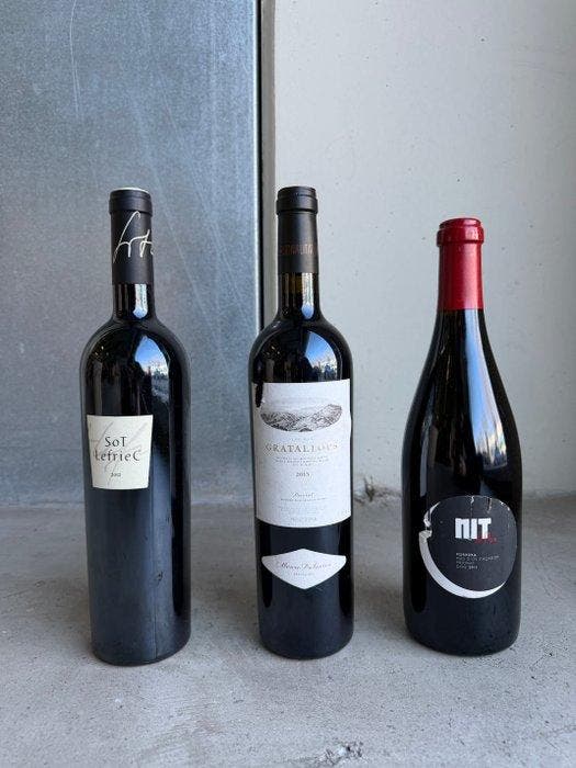 2015 Alvaro Palacios, Gratallops, 2011 Nin-Ortiz Nit de, Verzamelen, Wijnen